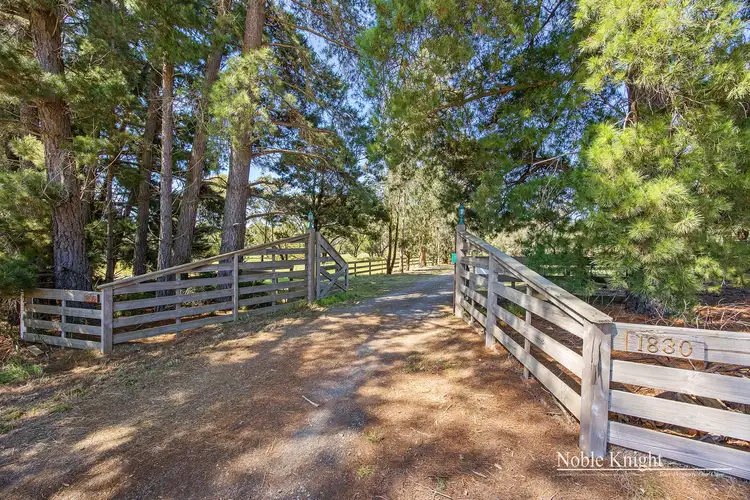 Third view of Homely rural property listing, 1830 Melba Highway, Dixons Creek VIC 3775