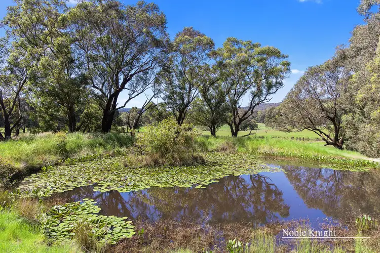 Fifth view of Homely rural property listing, 1830 Melba Highway, Dixons Creek VIC 3775