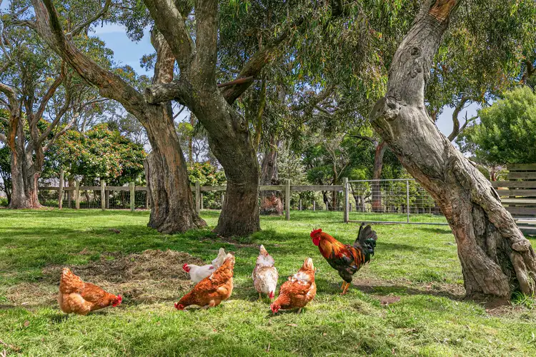 Fifth view of Homely house listing, 15 Black Hill Road, Gisborne South VIC 3437