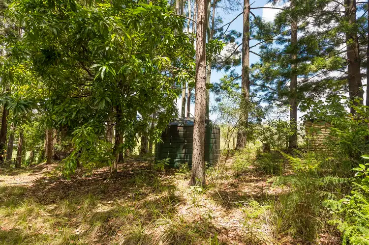 Fifth view of Homely rural property listing, 1909 Cawongla Road, Cawongla NSW 2474