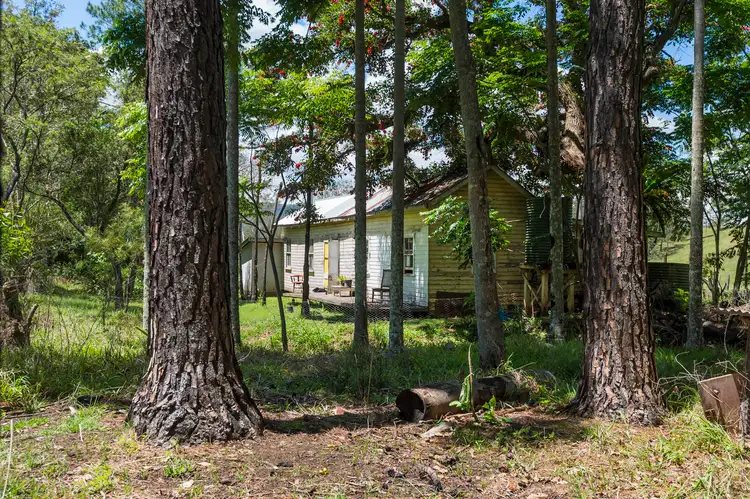 Seventh view of Homely rural property listing, 1909 Cawongla Road, Cawongla NSW 2474