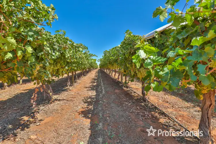 186 Cowra Avenue, Irymple VIC 3498