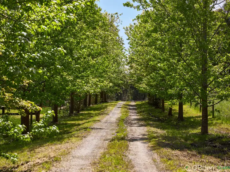 Fourth view of Homely rural property listing, 275 Forest Road, Labertouche VIC 3816