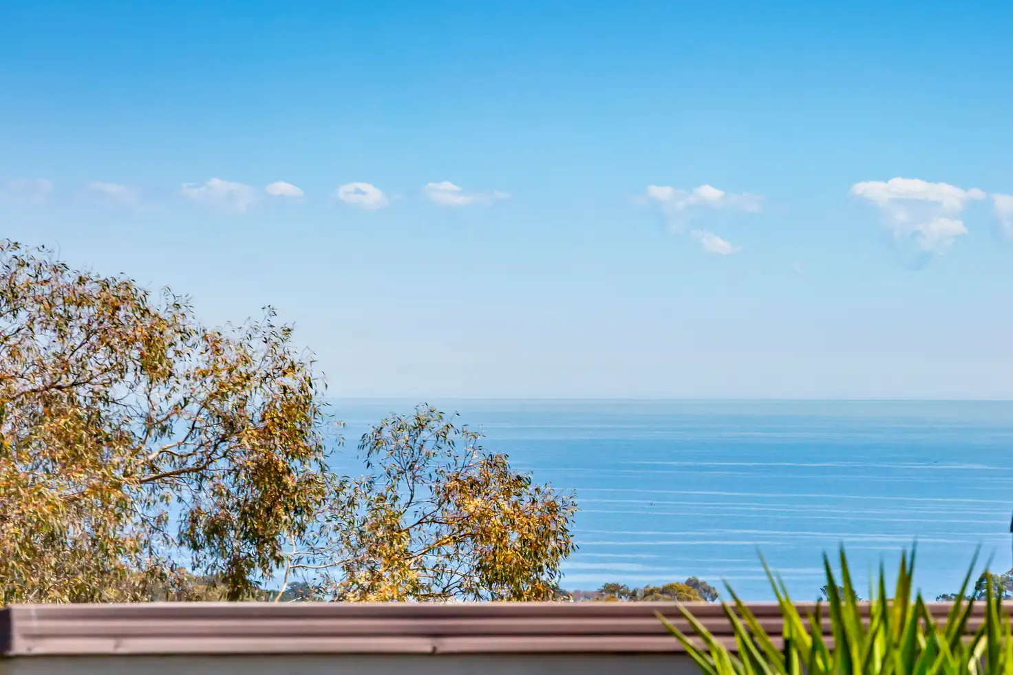 Main view of Homely house listing, 77 Somerset Drive, Mount Martha VIC 3934