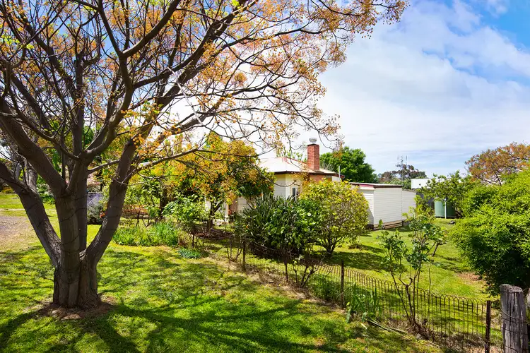 Second view of Homely house listing, 3 Parkins Reef Road, Maldon VIC 3463
