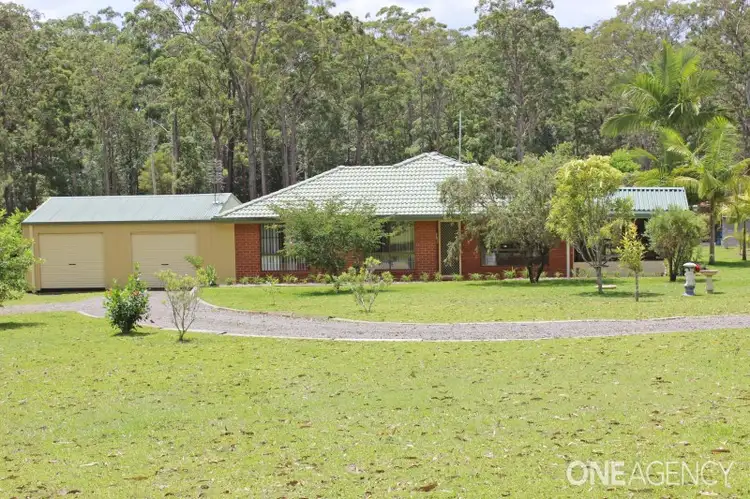 55 Brushbox Crescent, Yarravel NSW 2440