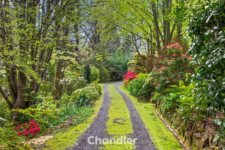 Second view of Homely house listing, 7 Old Main Road, Ferny Creek VIC 3786