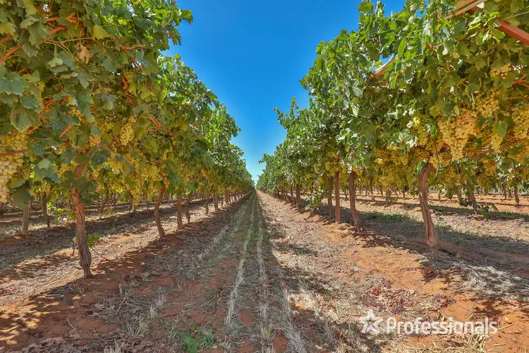 Sixth view of Homely rural property listing, Lot 1 & 2 Sandilong Avenue Extn, Irymple VIC 3498