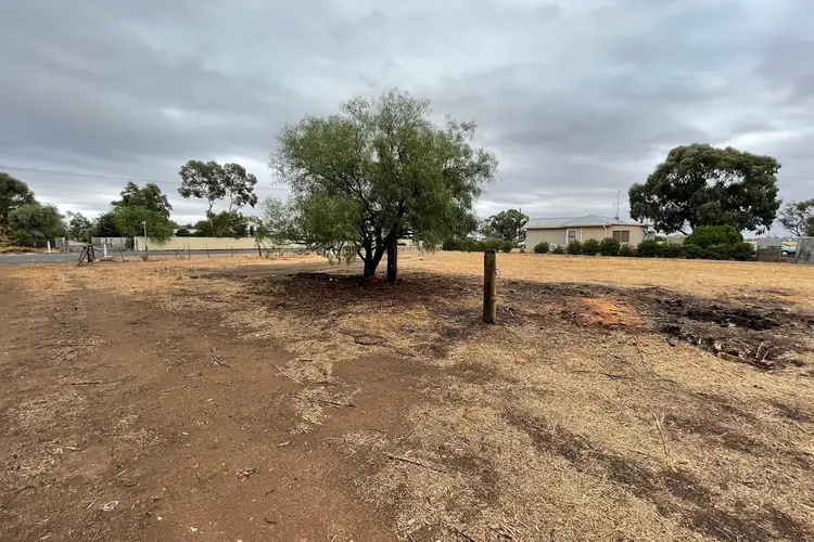 Seventh view of Homely rural property listing, 24 North Street, Nullawil VIC 3529