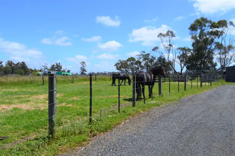 Second view of Homely rural property listing, 393 Tarra Valley Road, Devon North VIC 3971