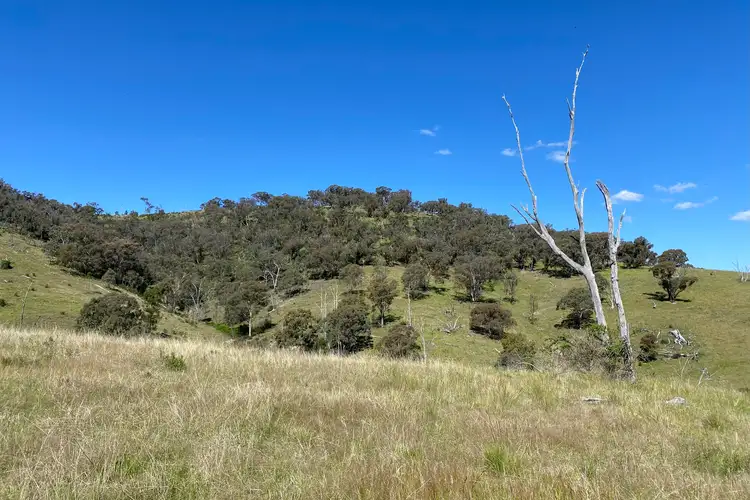 Fifth view of Homely rural property listing, LOT 126 Campbells Creek Road, Mudgee NSW 2850