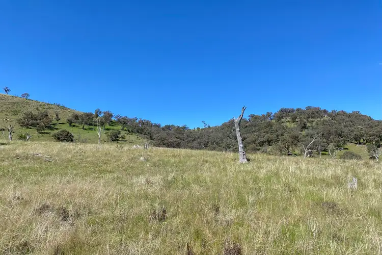 Sixth view of Homely rural property listing, LOT 126 Campbells Creek Road, Mudgee NSW 2850