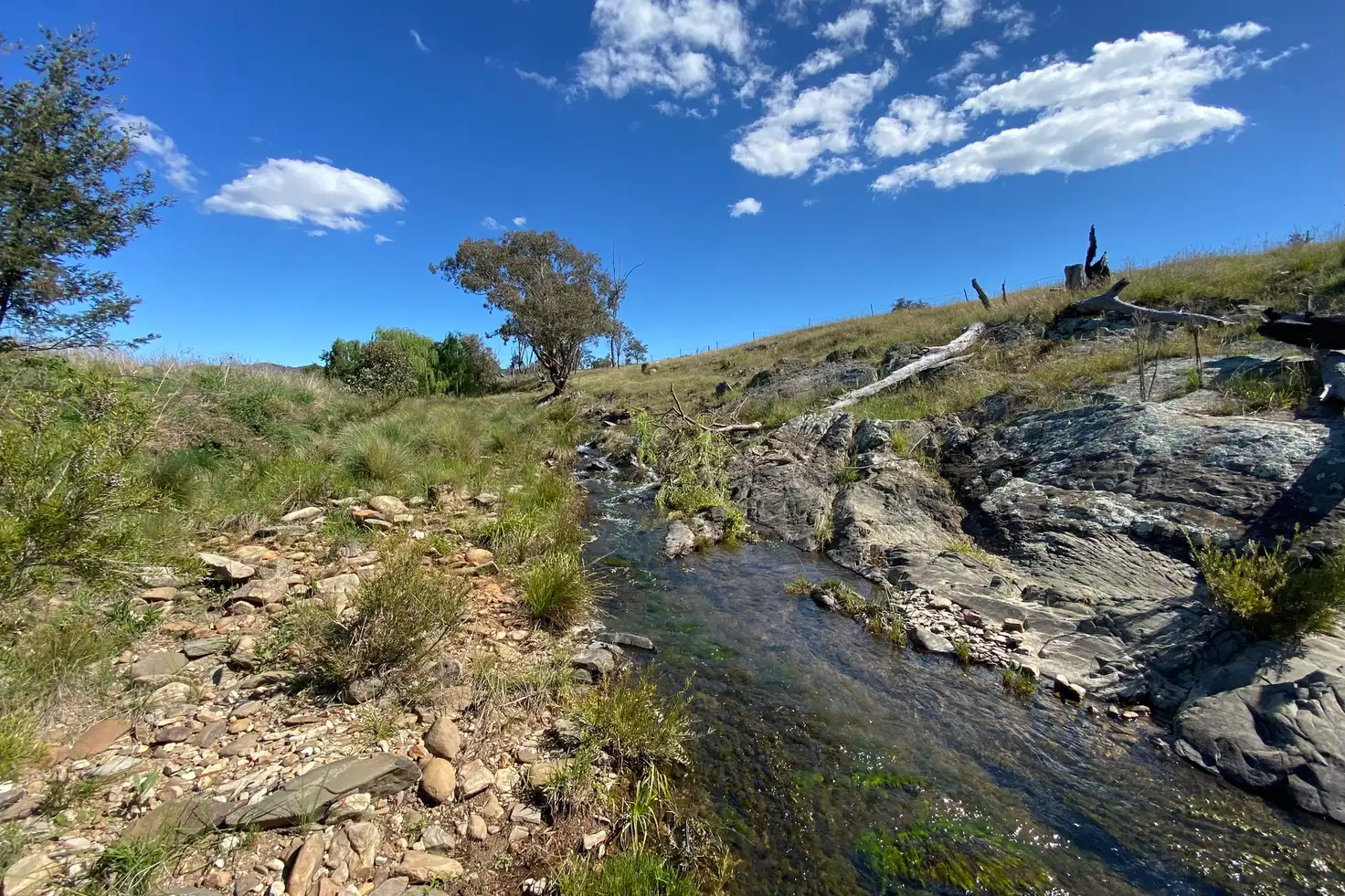 Main view of Homely rural property listing, LOT 30 Campbells Creek Road, Mudgee NSW 2850