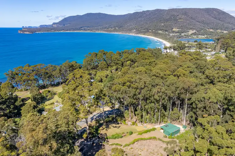 Sixth view of Homely land listing, 12 Lyndal Drive, Eaglehawk Neck TAS 7179