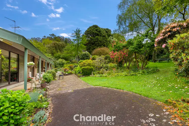 Main view of Homely house listing, 221 Mount Dandenong Tourist Road, Ferny Creek VIC 3786