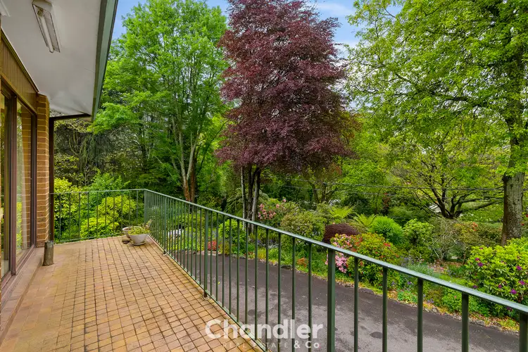Second view of Homely house listing, 221 Mount Dandenong Tourist Road, Ferny Creek VIC 3786