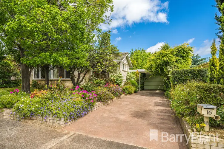Main view of Homely house listing, 16 Roberts Road, Belmont VIC 3216