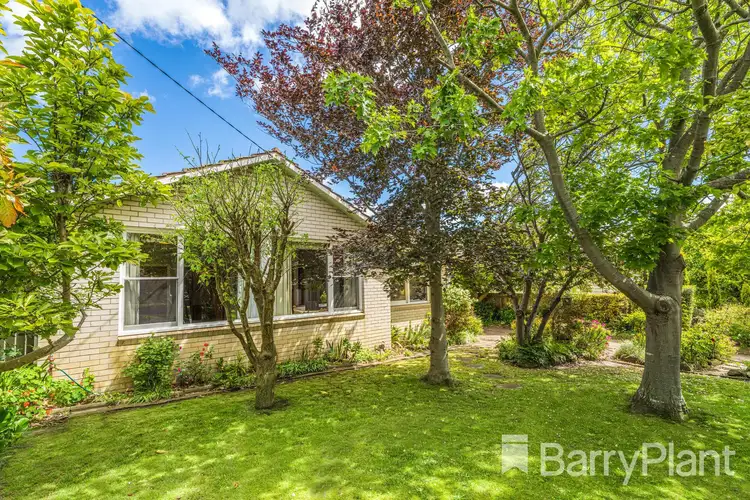 Second view of Homely house listing, 16 Roberts Road, Belmont VIC 3216