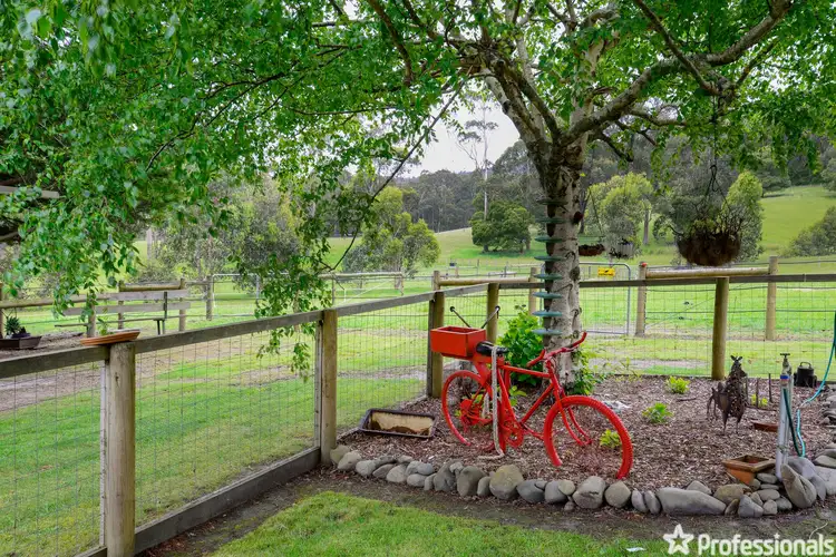 Third view of Homely house listing, 1780 Woods Point Road, Mcmahons Creek VIC 3799