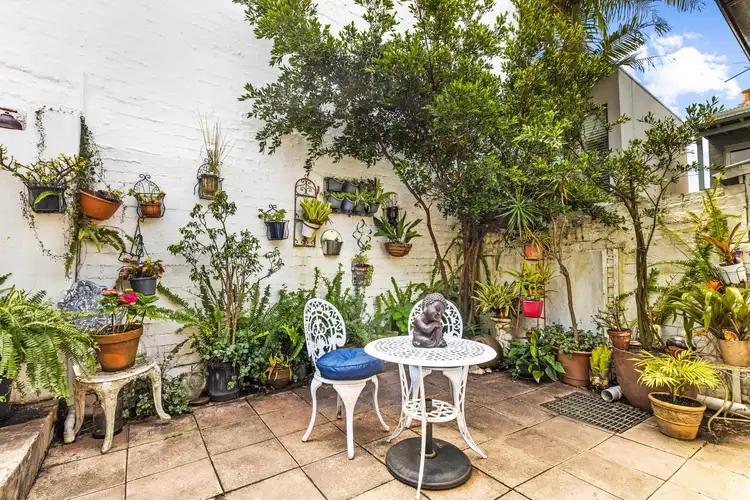 6 Albert Square, Paddington NSW 2021