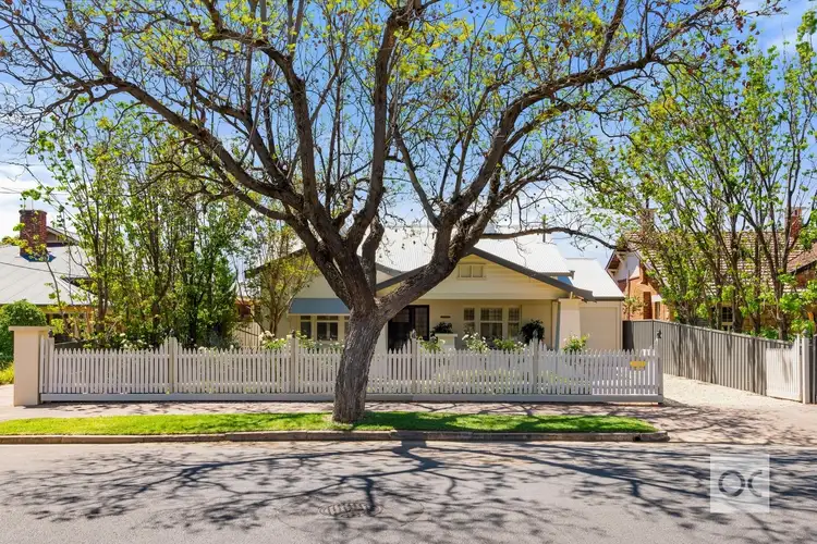 Main view of Homely house listing, 12 Lynton Avenue, Millswood SA 5034