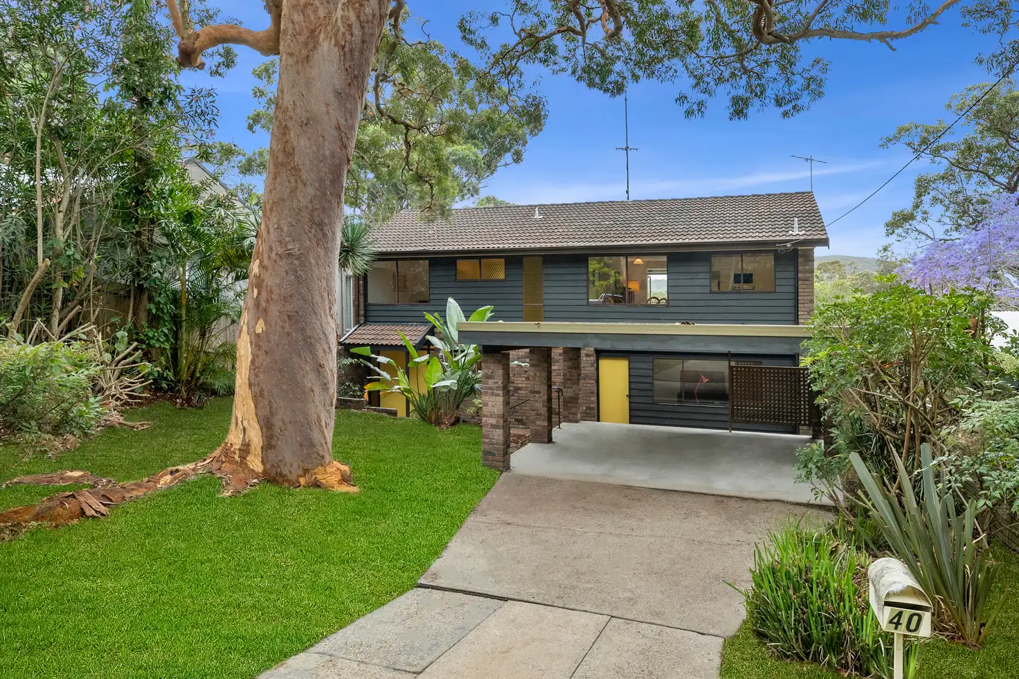 Main view of Homely house listing, 40 Kevin Avenue, Avalon Beach NSW 2107