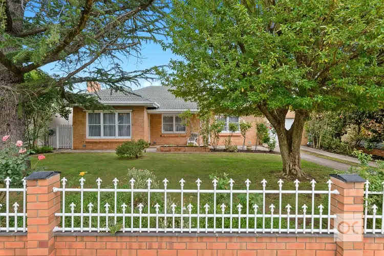 36 Central Avenue, Magill SA 5072
