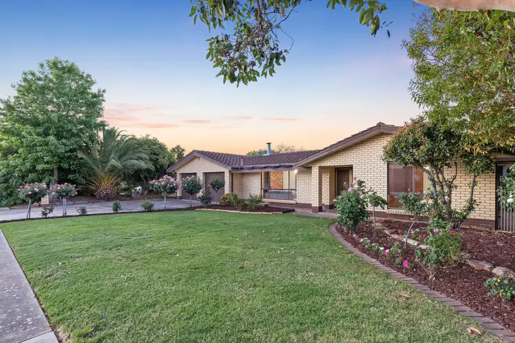 37 Spruce Avenue, Warradale SA 5046