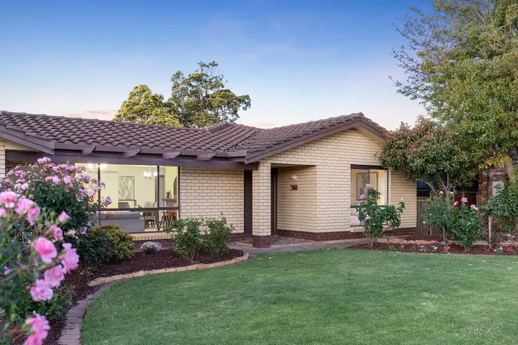 Second view of Homely house listing, 37 Spruce Avenue, Warradale SA 5046