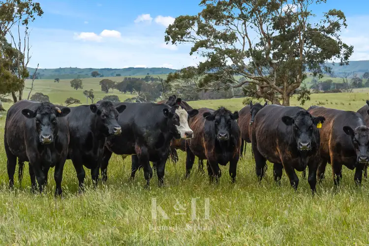 Fifth view of Homely rural property listing, 315 Walshs Road, Nulla Vale VIC 3435