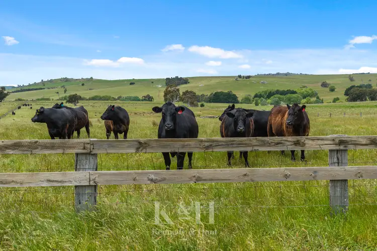Seventh view of Homely rural property listing, 315 Walshs Road, Nulla Vale VIC 3435
