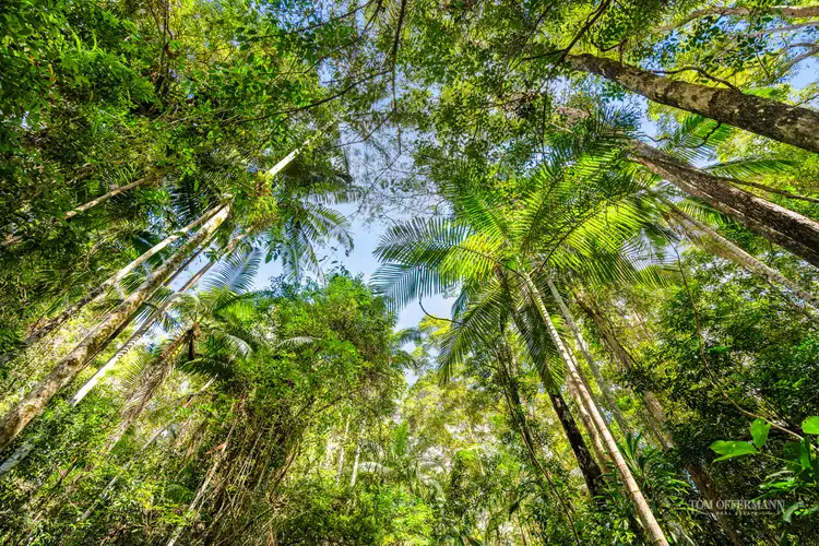 Third view of Homely land listing, 19 Minura Court, Doonan QLD 4562