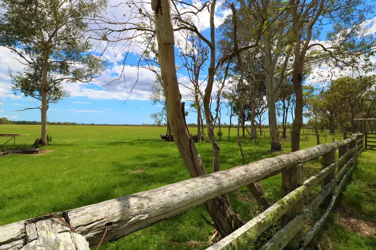 Main view of Homely rural property listing, 1473 Buxton Road, Buxton QLD 4660