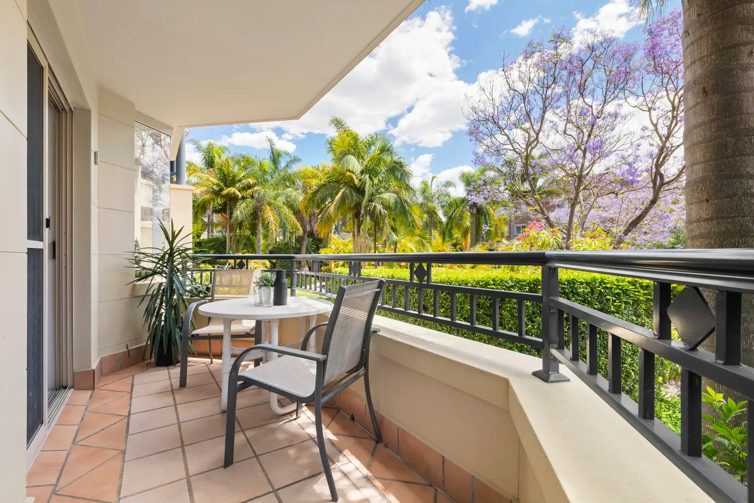 Main view of Homely unit listing, 84/8 Koorala Street, Manly Vale NSW 2093