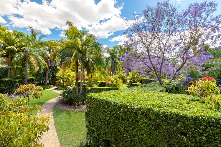 Fourth view of Homely unit listing, 84/8 Koorala Street, Manly Vale NSW 2093