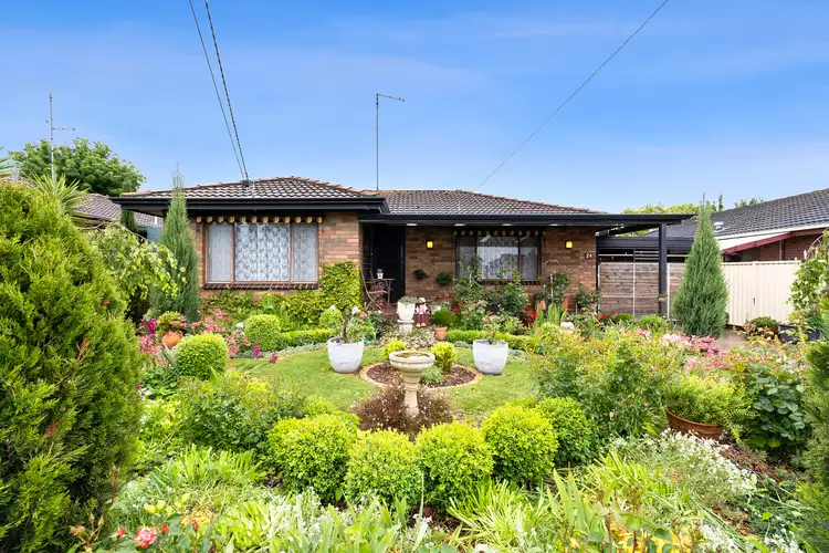 Main view of Homely house listing, 24 McNulty Drive, Wendouree VIC 3355