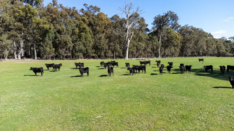 Main view of Homely land listing, 19 Cundinup-Kirup Road, Donnybrook WA 6239
