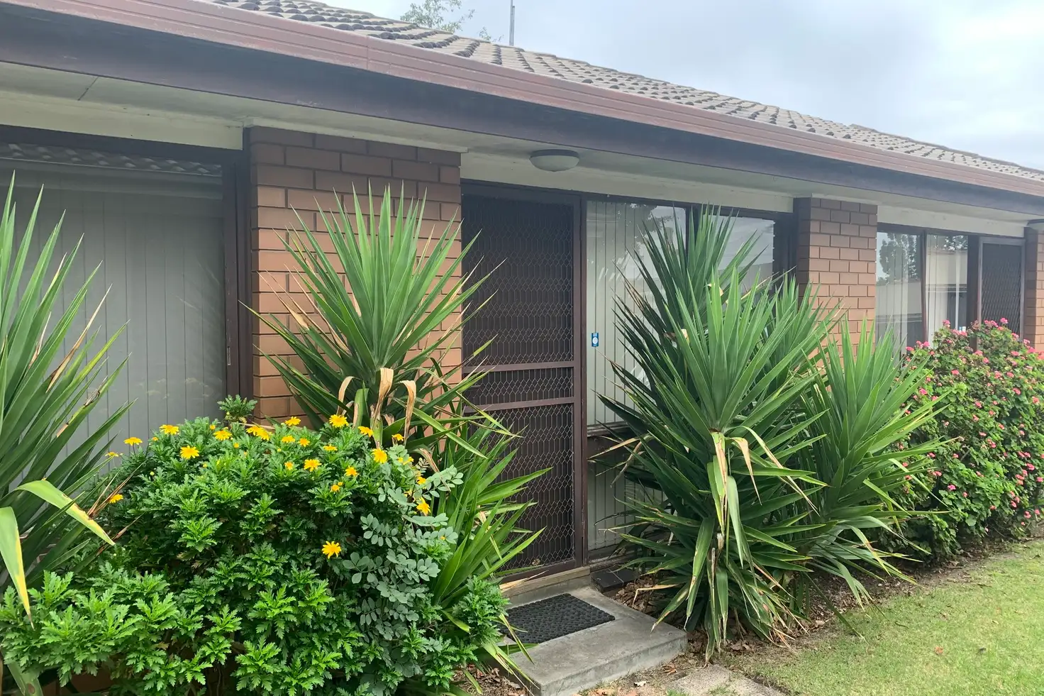 Main view of Homely block of units listing, 6/31 Volum Street, Manifold Heights VIC 3218