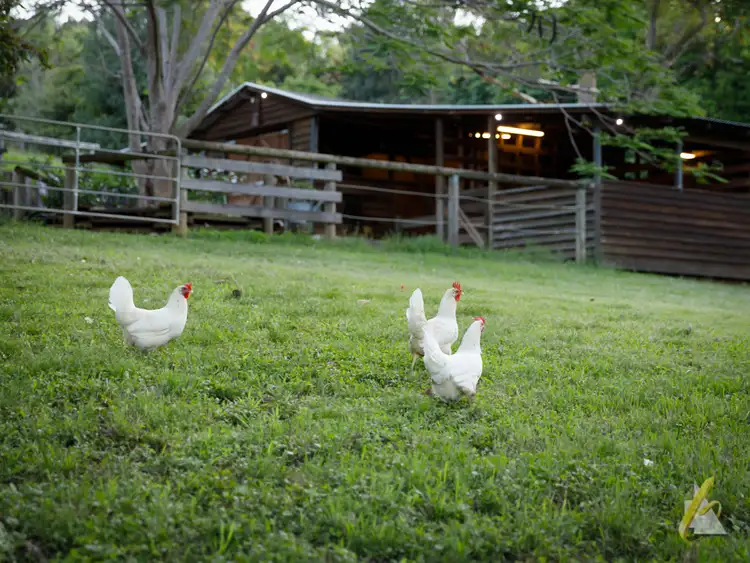 Fifth view of Homely rural property listing, 212 Moons Lane, Brookfield QLD 4069