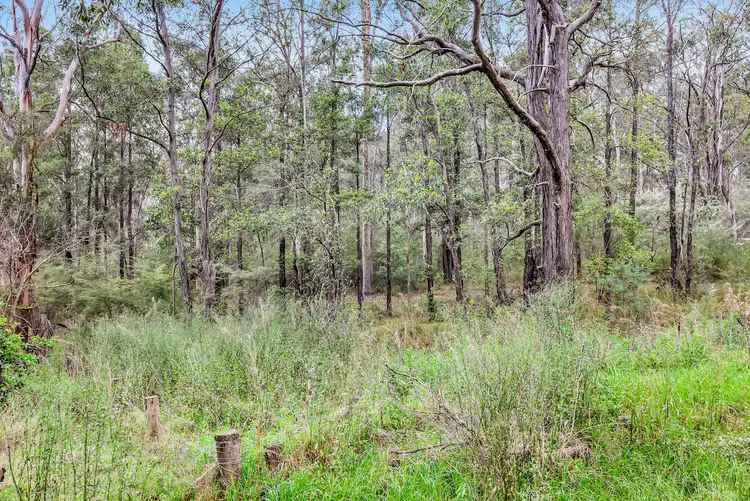 Third view of Homely rural property listing, 358 Bathurst Street, Sawyers Gully NSW 2326