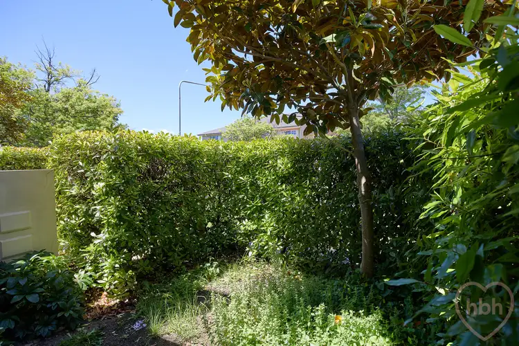 Second view of Homely apartment listing, 1/67 Torrens Street, Braddon ACT 2612