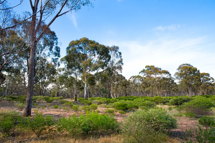 Fourth view of Homely rural property listing, 40 Blackburn Lane, Inglewood VIC 3517