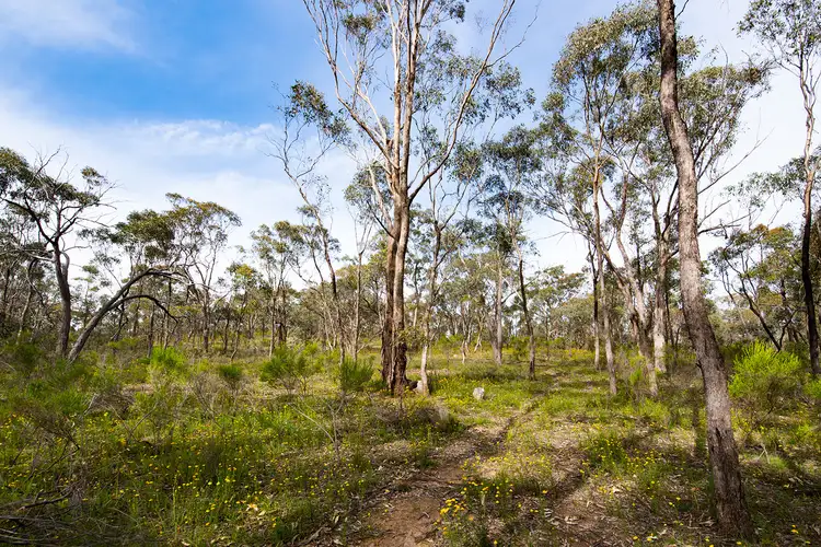 Sixth view of Homely land listing, 47 Shanahans Road, Eppalock VIC 3551