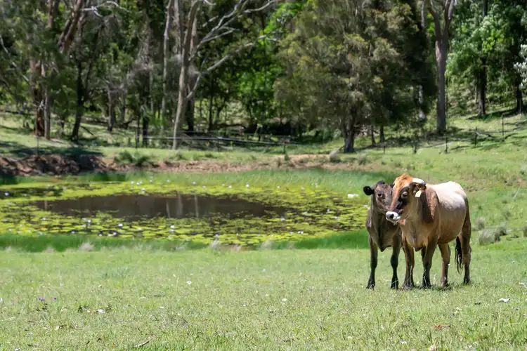 Third view of Homely land listing, Harrison Crescent, Ocean View QLD 4521