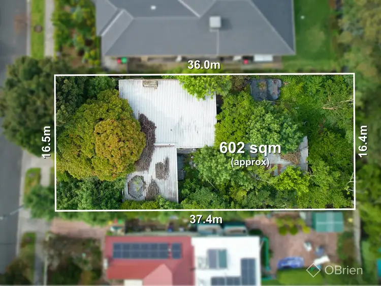 Main view of Homely house listing, 25 Banksia Street, Blackburn VIC 3130