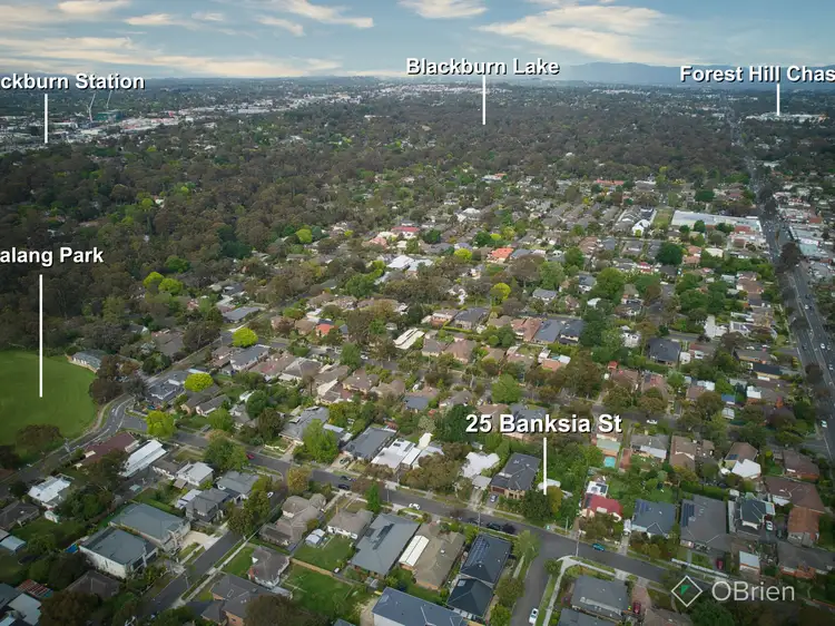 Third view of Homely house listing, 25 Banksia Street, Blackburn VIC 3130