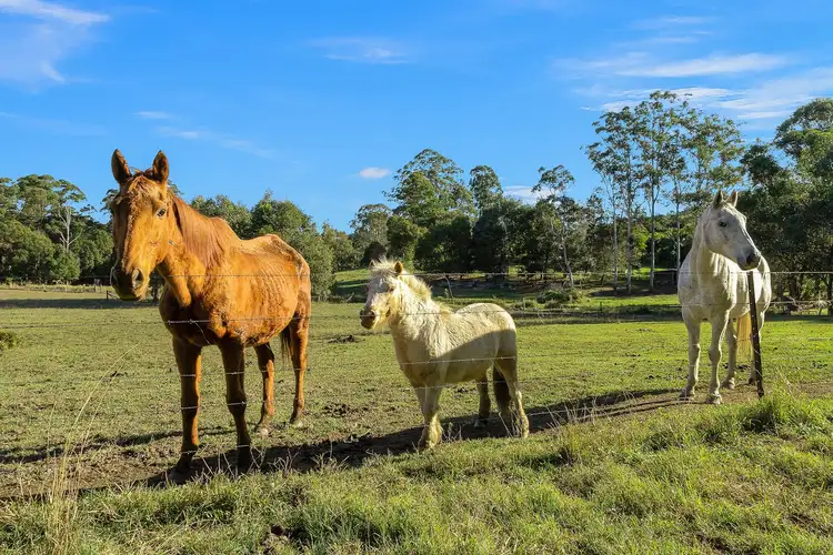 Fourth view of Homely land listing, LOT 7, 11 Davidson Place, Mullumbimby NSW 2482