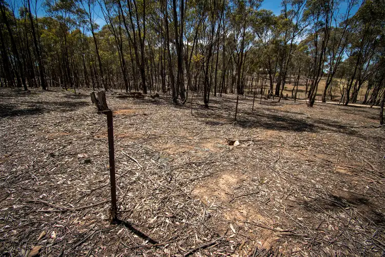Third view of Homely land listing, 35 Middle Road, Dunolly VIC 3472