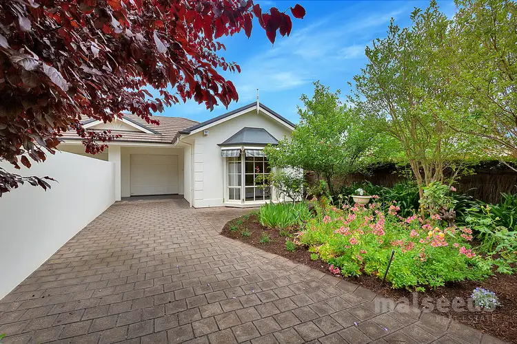 21 Kitchener Street, Netherby SA 5062