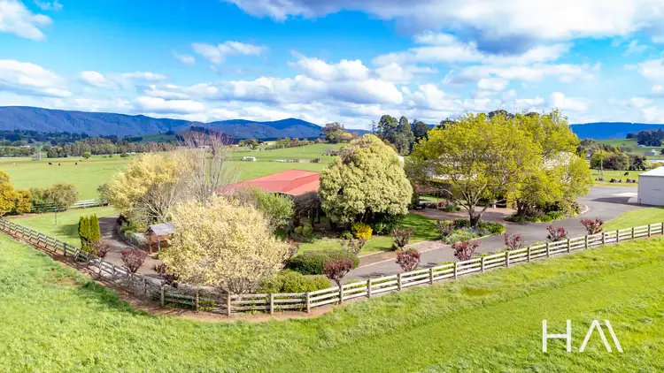 Fourth view of Homely house listing, 123 King Street, Scottsdale TAS 7260